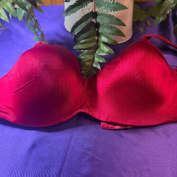 📌Vanity Fair 3 Full Figure Beauty Back Smoothing Bra's Lightly Lined Cups 40 DD - Picture 3 of 16